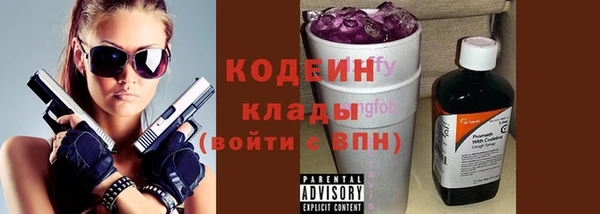 прущие крисы Бородино