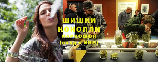 прущие крисы Бородино