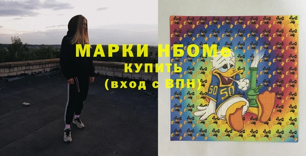 ECSTASY Богородицк
