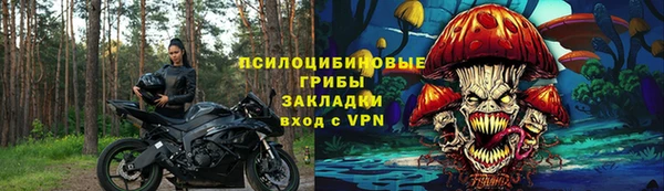 ECSTASY Богородицк