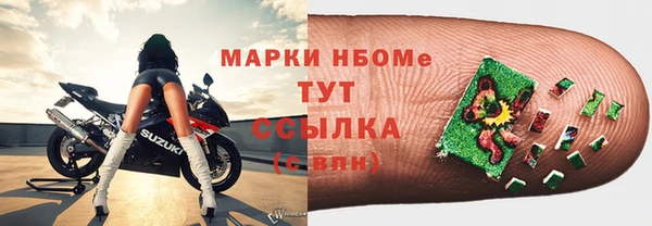 прущие крисы Бородино